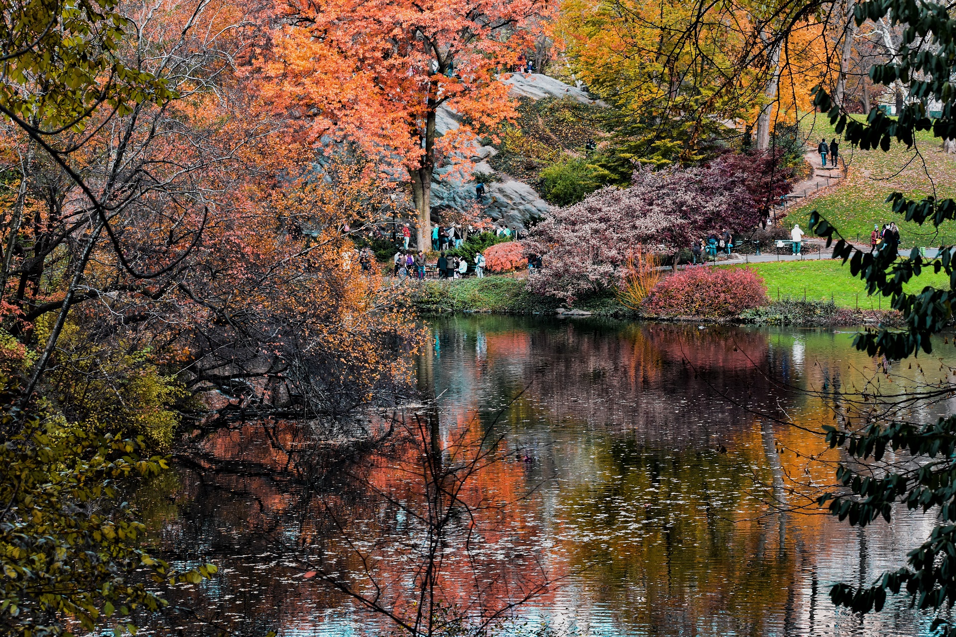 Central Park fall scenery